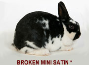 Broken Mini Satin
