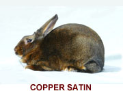 Copper Satin