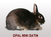 Opal Mini Satin