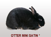 Otter Mini Satin